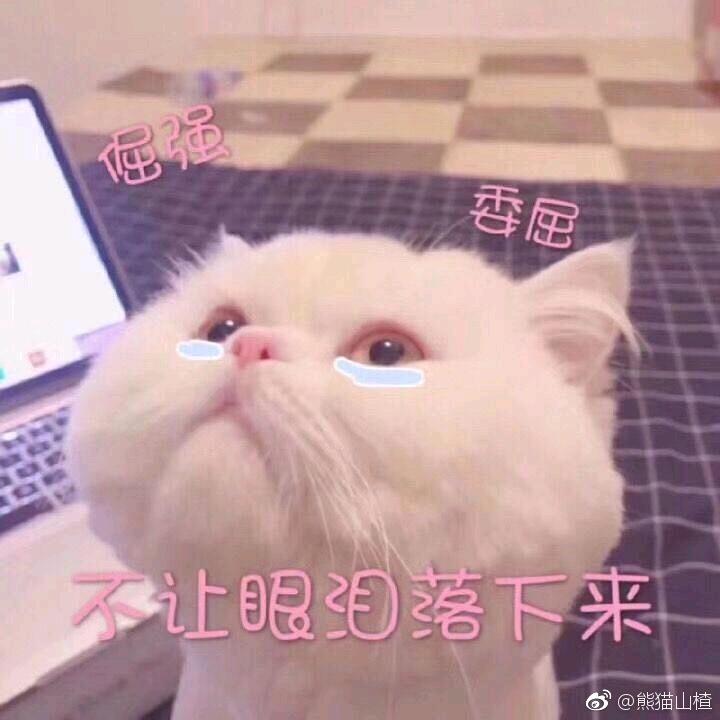 天使也掉泪