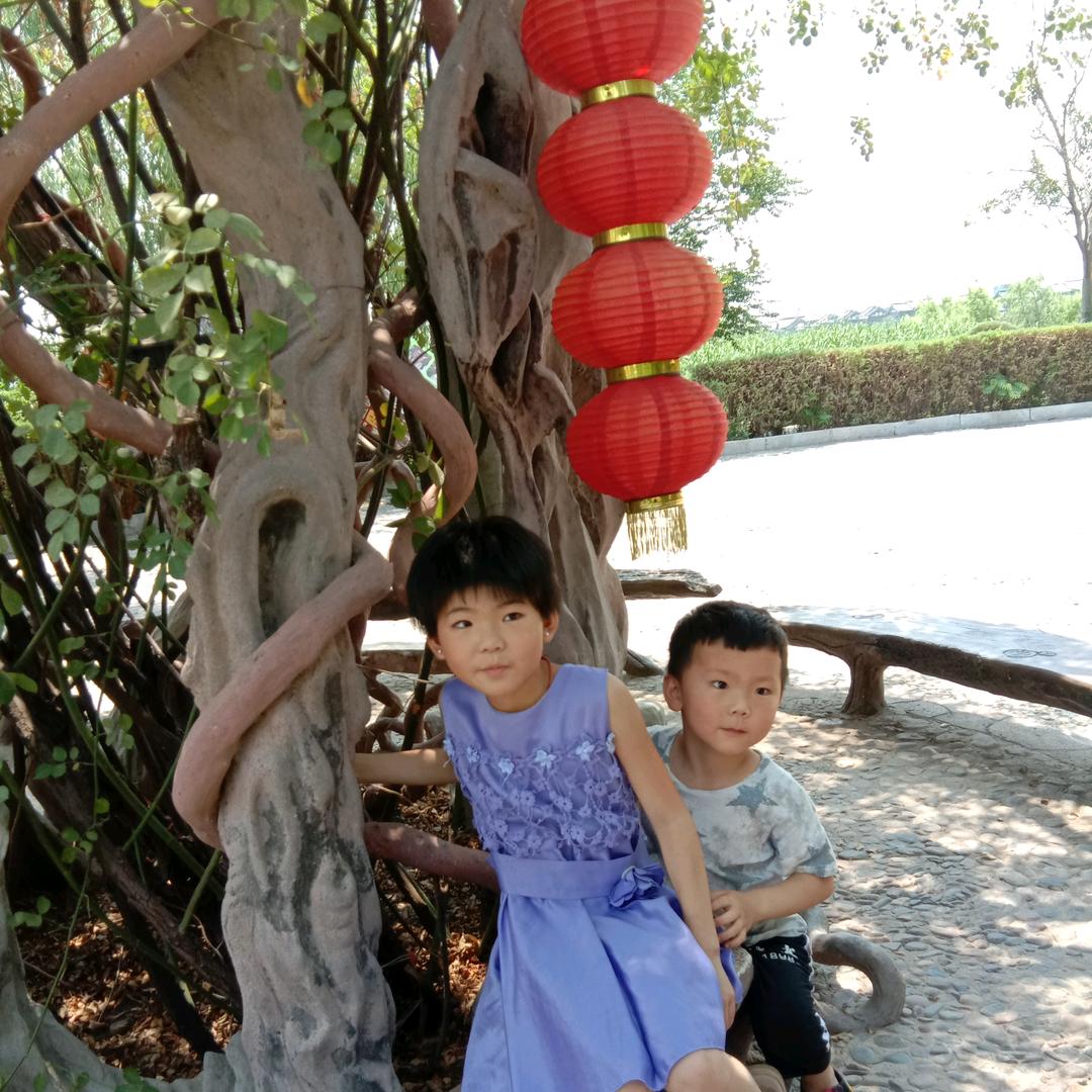 小石头