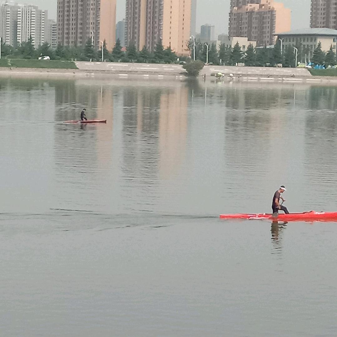 浪迹