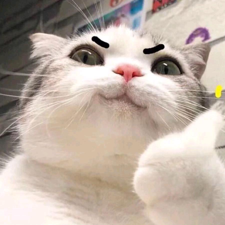 ☞ 懒癌♛弃疗☜