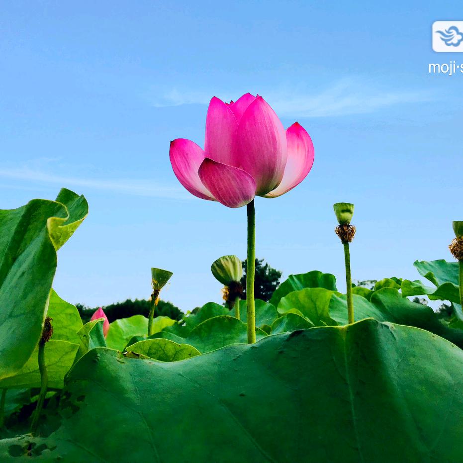 用户278188幸福壹家