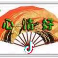 缘份烫染造型