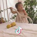 老虎仔
