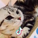 jun