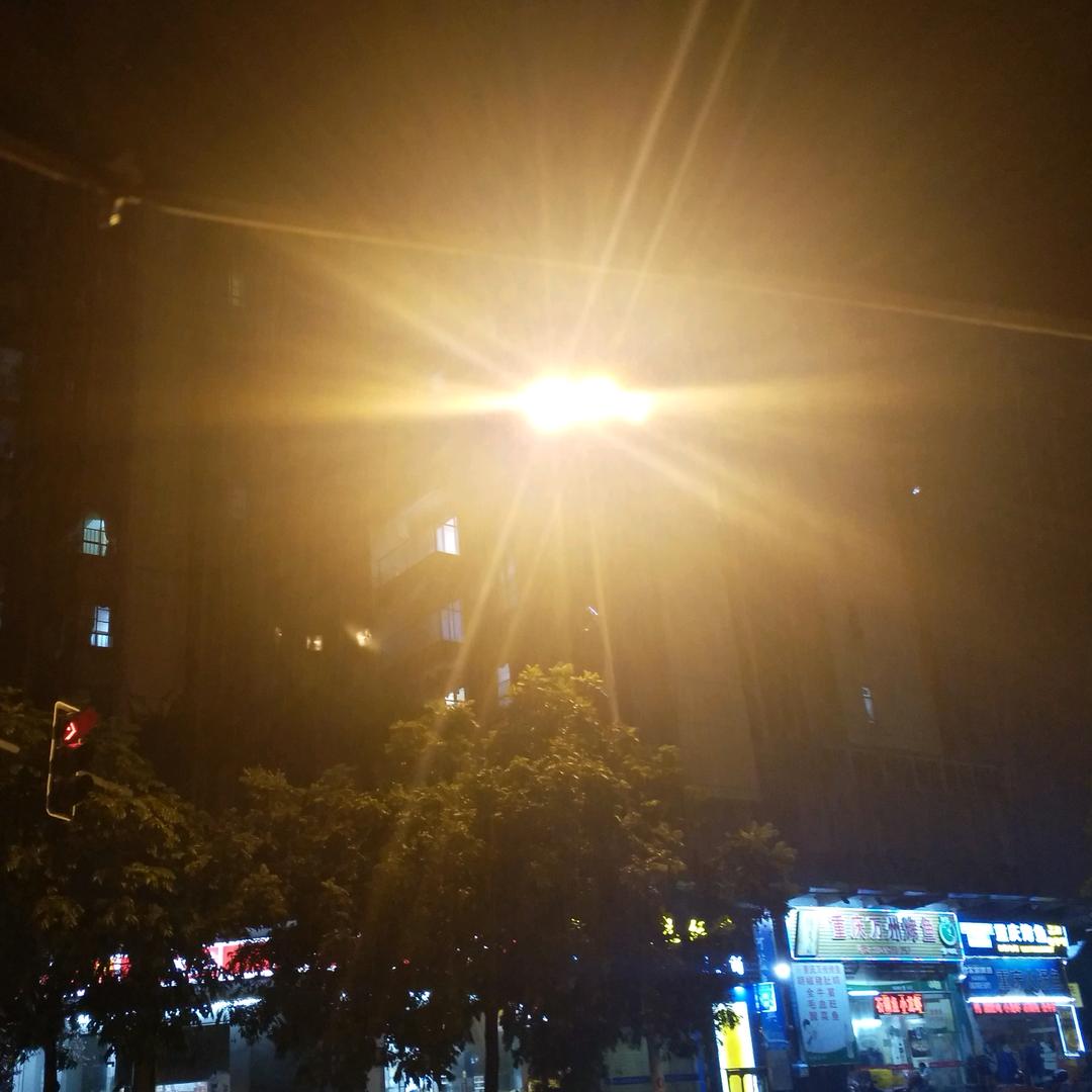 哈💨原来是朵花🌸