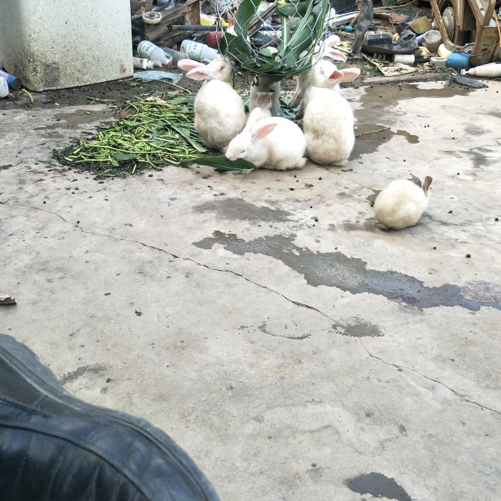 汽车修理