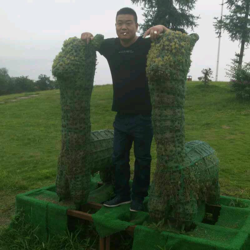 狼行天下<飞.哥>