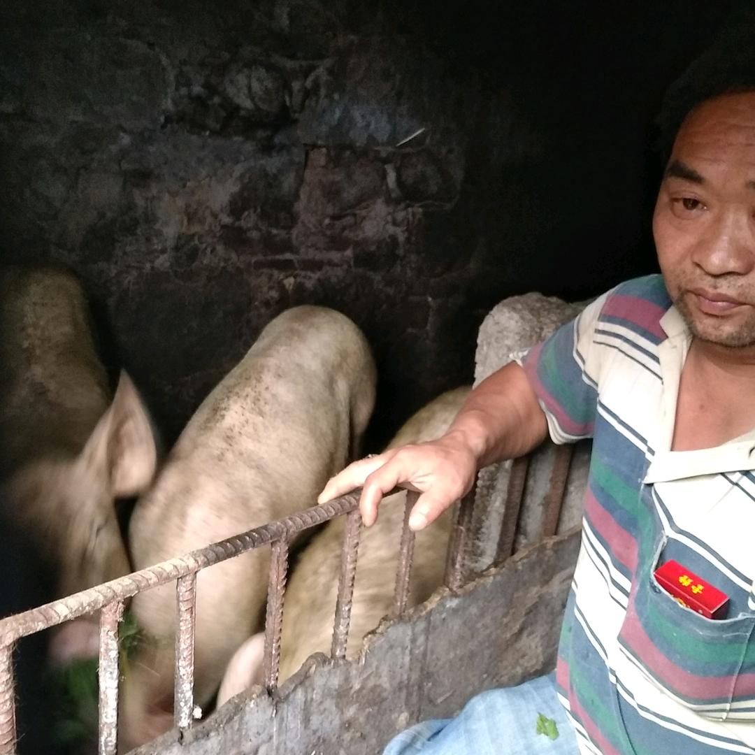 小时读书我怕怕累