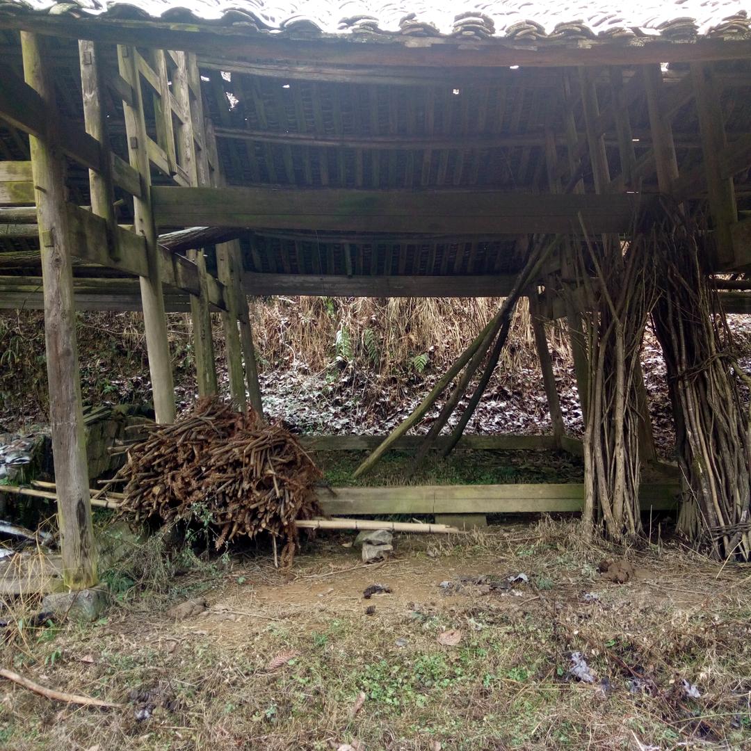 山歌艺人（小勤哥）