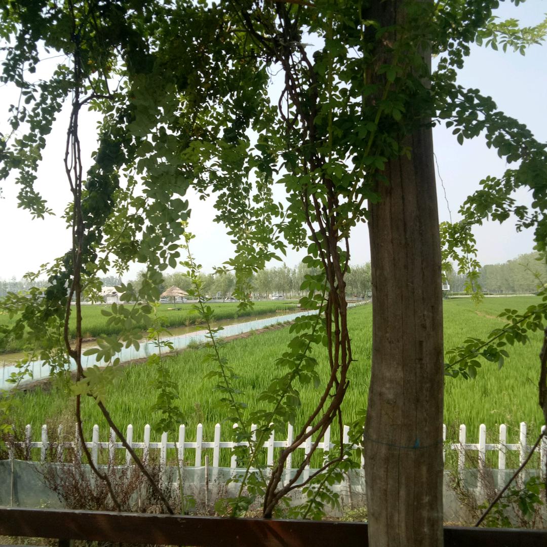 用户626307887792秋雨