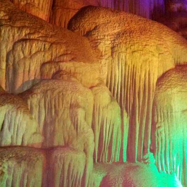 小叶❤️放心❤️李