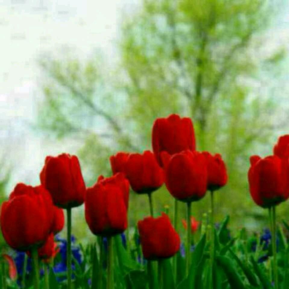 新农村家电维修