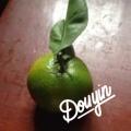累了倦了懂了
