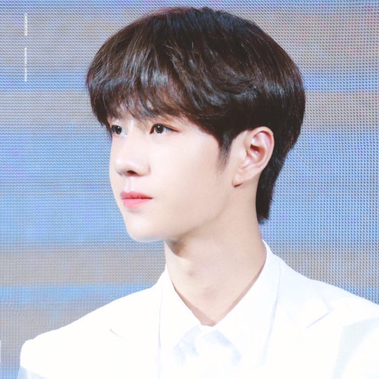 耶耶耶耶耶啵仔