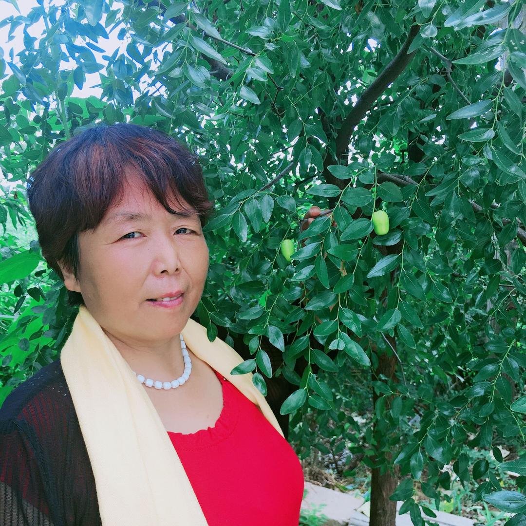 莲莲