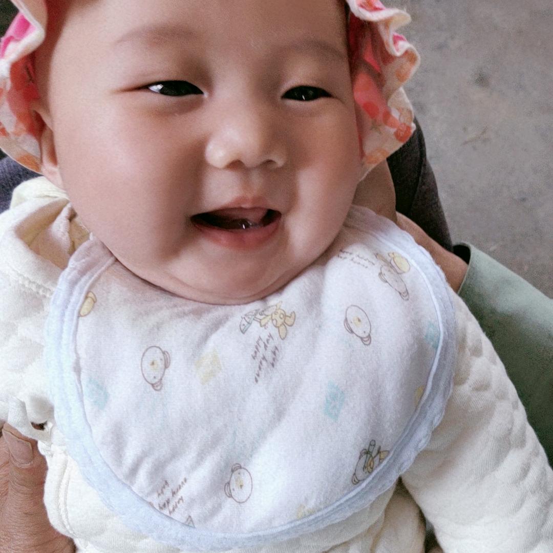 紫霞仙子，