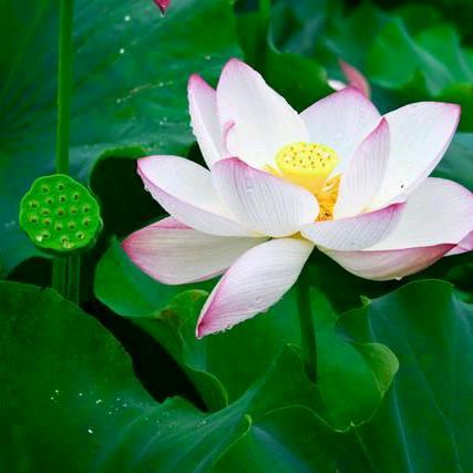 左西敬常年招工招生