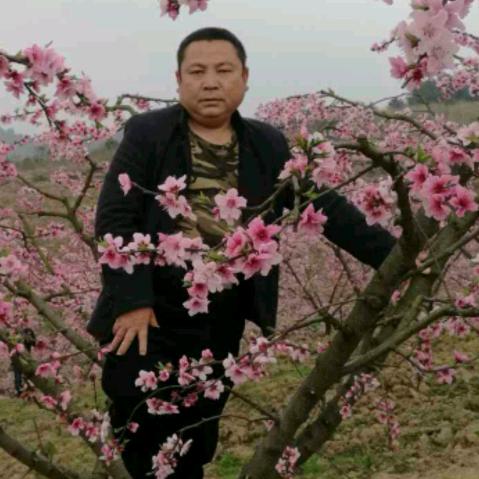 -一生随缘