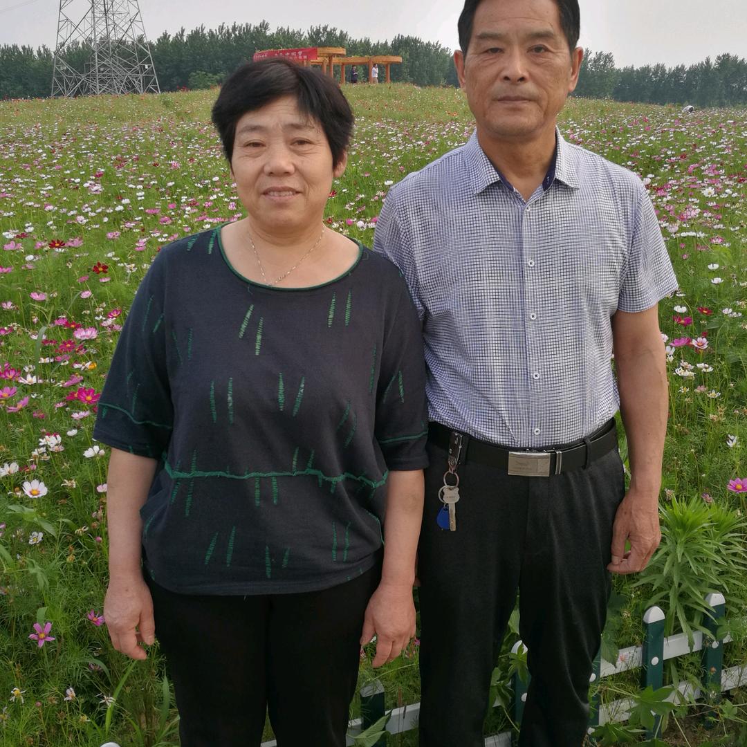 向阳花123
