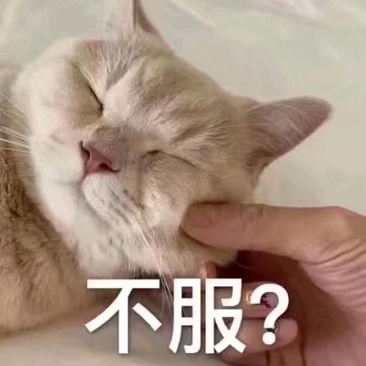 蓝币小熊
