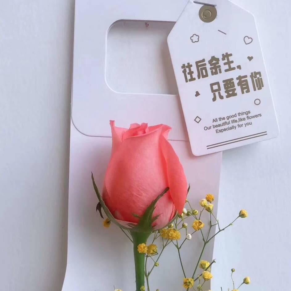 在晴天🍀