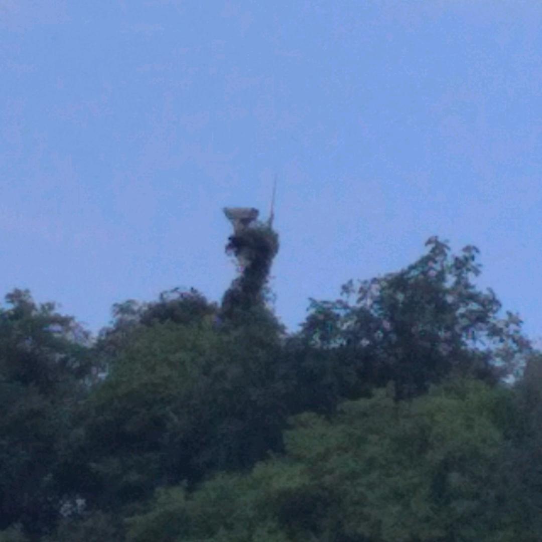 程家二妹