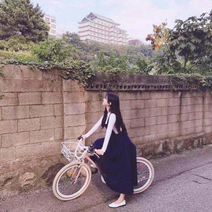 秋枫