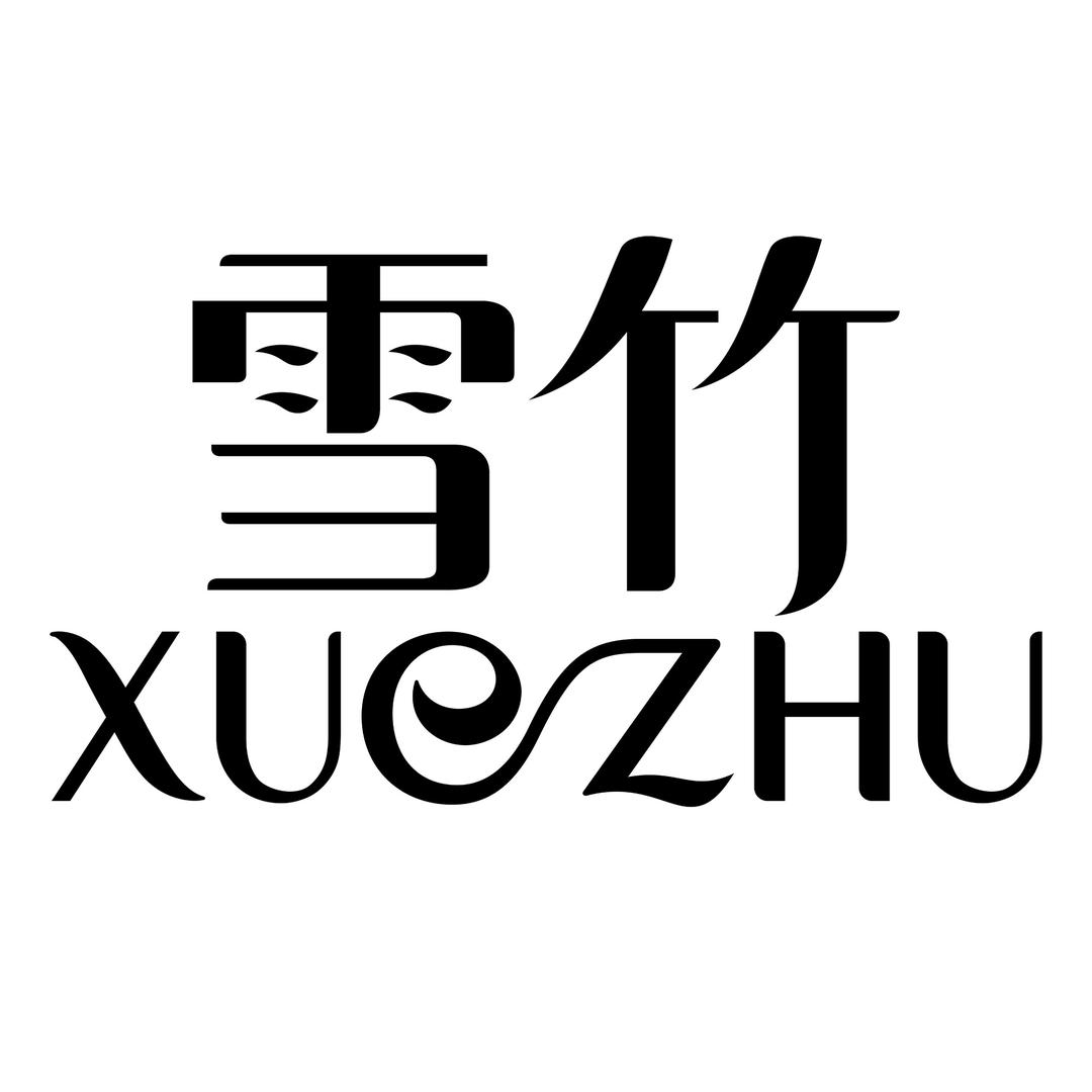 xuezhu1991