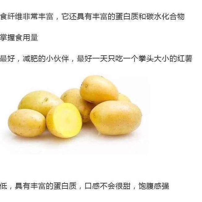 Mexican稻草人豪鸽专卖店