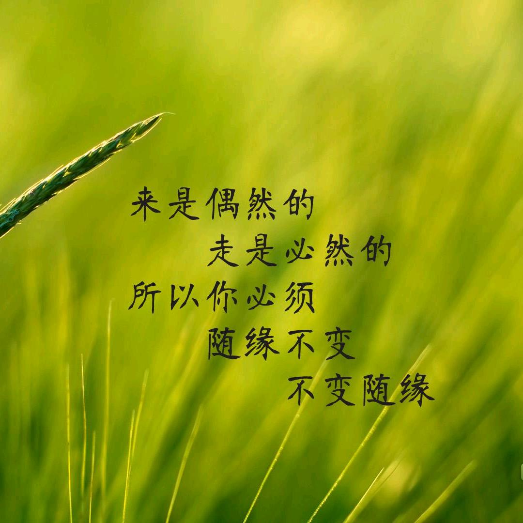 周周不周