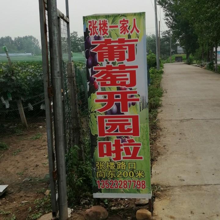 张楼一家人葡萄农场808158362