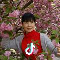白兰花
