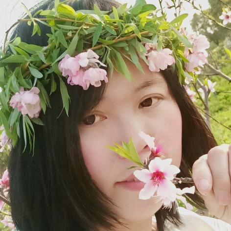 我的小王子