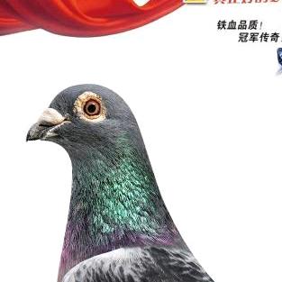 江苏远程军～国血