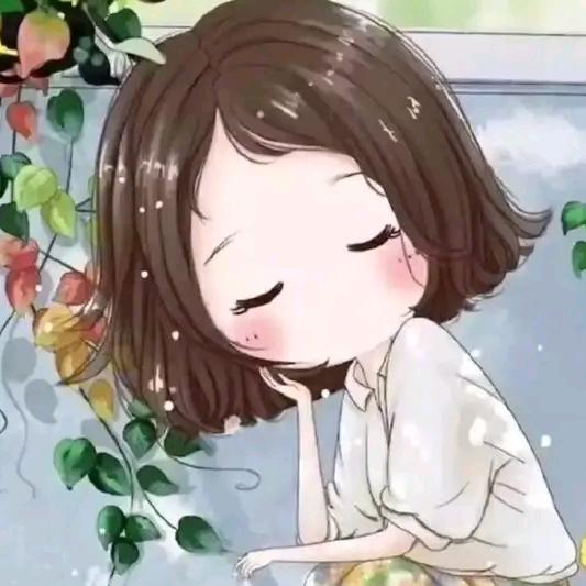 鹏飞通讯