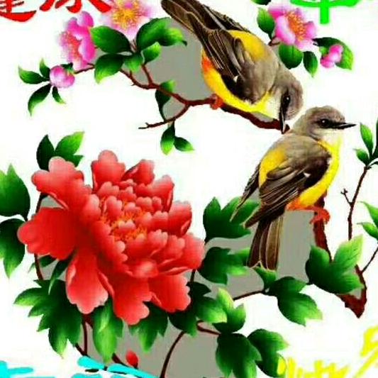山青水秀🌹🌹🌹🌻🌻🌻