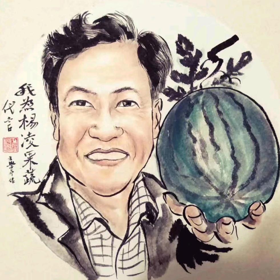 天玉吃住行