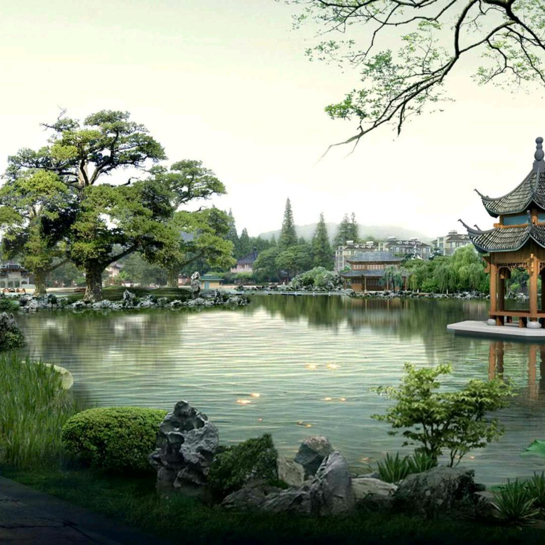 杨五孃