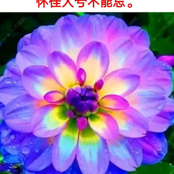 冬去春来