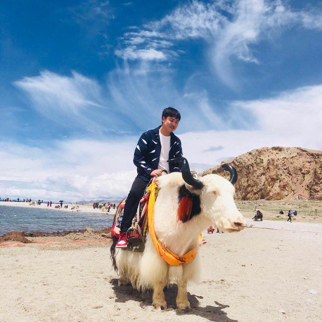 🀄无杜不张夫🀄