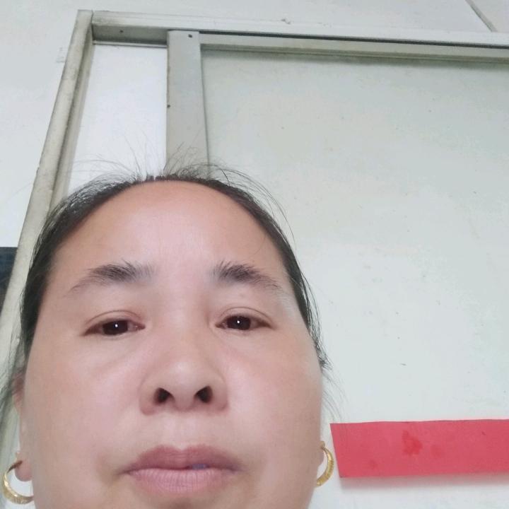 美丽动人的玫瑰花🌹🌹🌹🌹🌹🌹