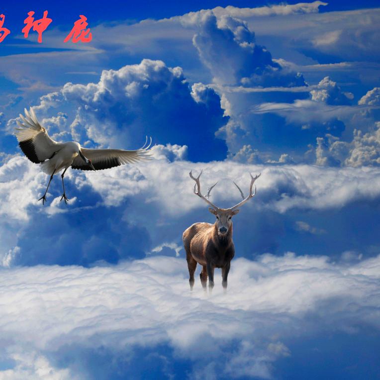 陈国远