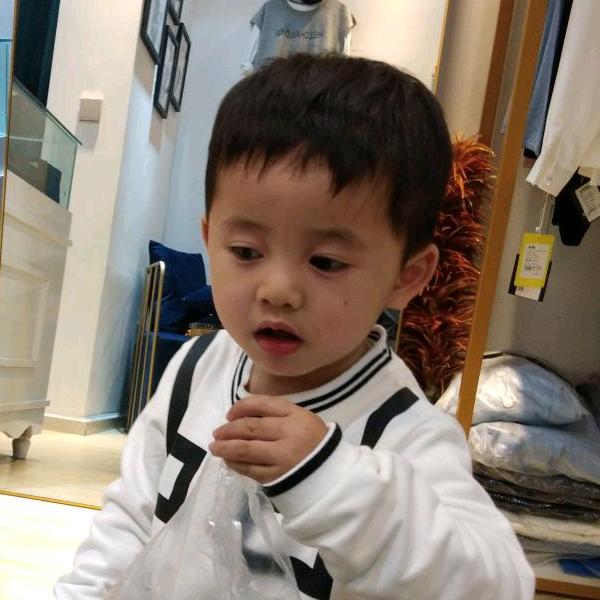 专业二次构建，砌墙