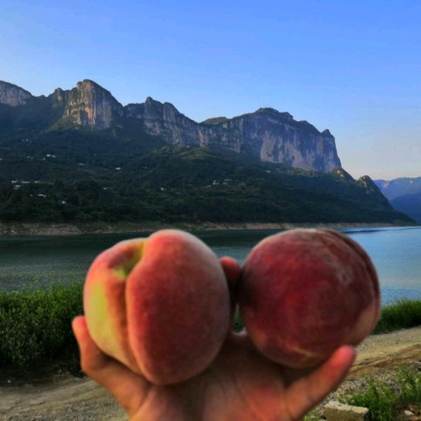 半醒半糊涂