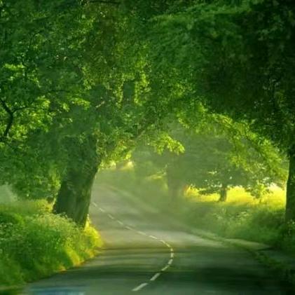 我爱我的宝贝们