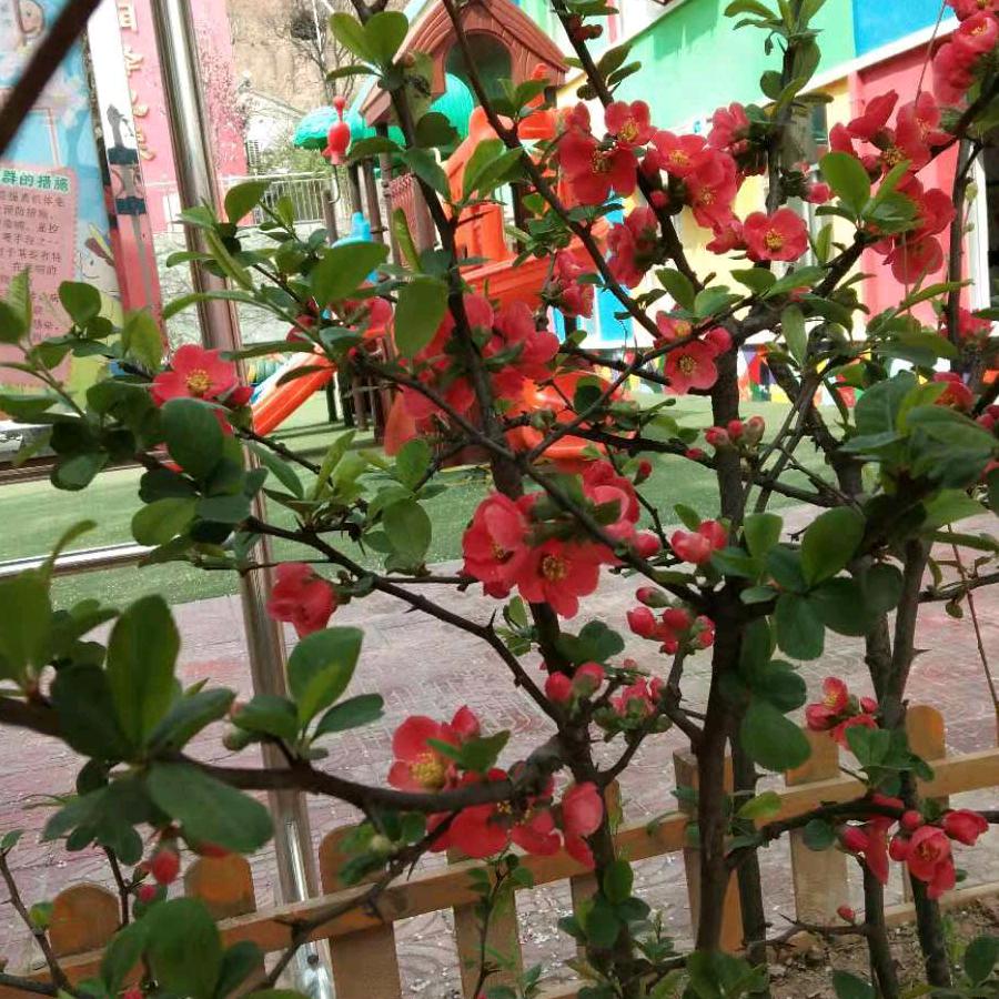 金沙岁月