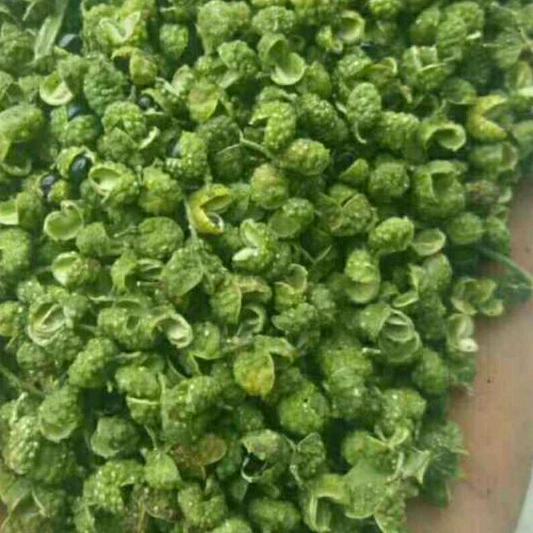 明天更好