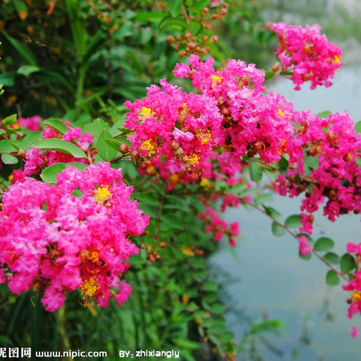 明天