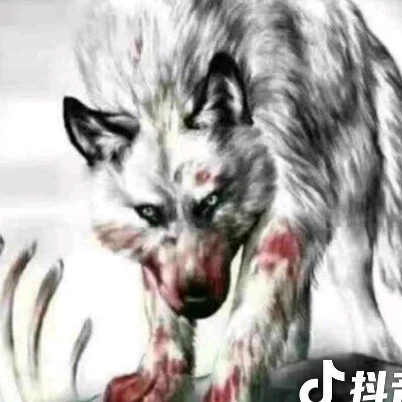 王厨师乡村酒大碗一条龙服务