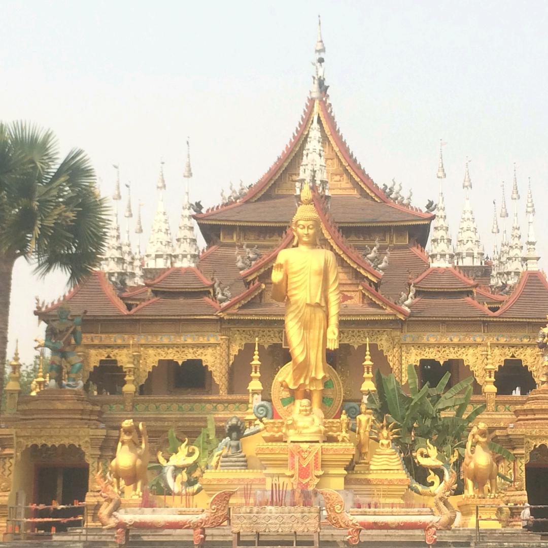 见到我就晕，又是大貔貅。